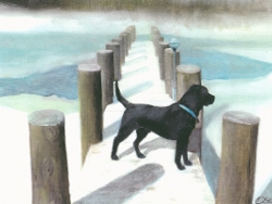 New Dog 6