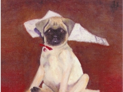 Pug in Red