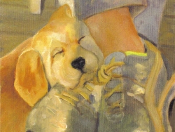 Baxter and Shoes