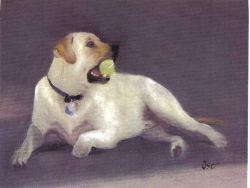 Tallie