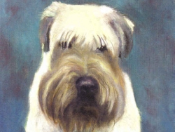 Terrier in Blue