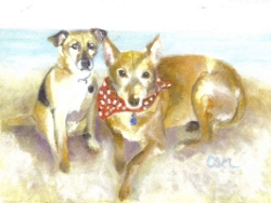 Two Dogs on Beach