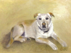 White Dog with Ears