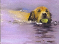 Neon Yellow Lab with Ball