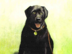 Black Lab