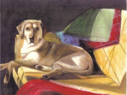 Cubist Dog