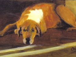 Hounds At Rest